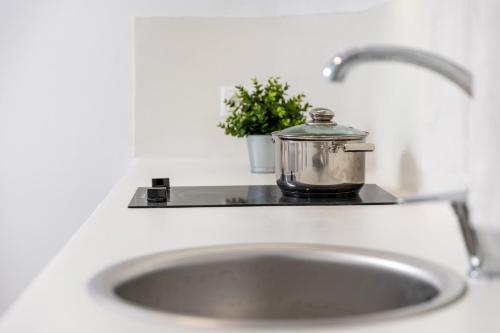 a kitchen sink with a pot and a plant at Krina Mare Boutique Hotel in Naxos Chora