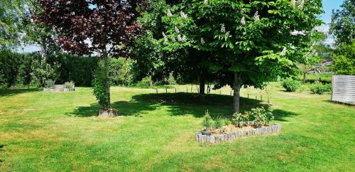 a garden with two trees and some plants at Le Charbonnet in Anzy-le-Duc