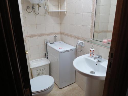 a small bathroom with a toilet and a sink at Mi Paraiso Vacacional, Isla del Hierro. in Tamaduste