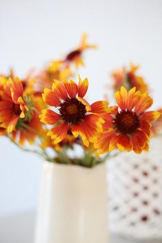 a bunch of flowers sitting in a vase at River Bend Guesthouses in Graaff-Reinet