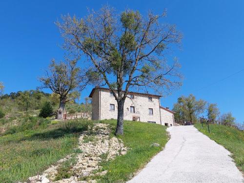 ein Gebäude auf einem Hügel mit einem Baum neben einer Straße in der Unterkunft Belvilla by OYO Poggio Marino in Carpegna
