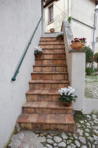 a set of stairs with potted plants on them at Podestà in Cicignano