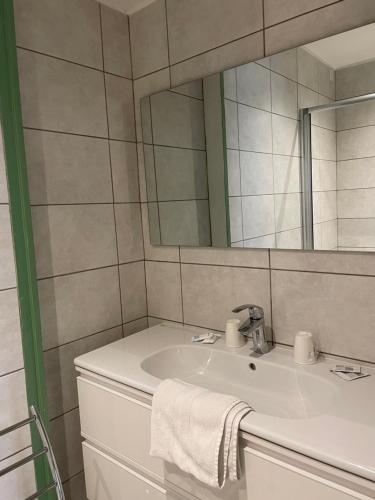 拉謝斯迪厄的住宿－利翁多爾酒店，一间带水槽和镜子的浴室