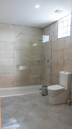 a bathroom with a toilet and a glass shower at The Village House by CDV in Carrazeda de Anciães