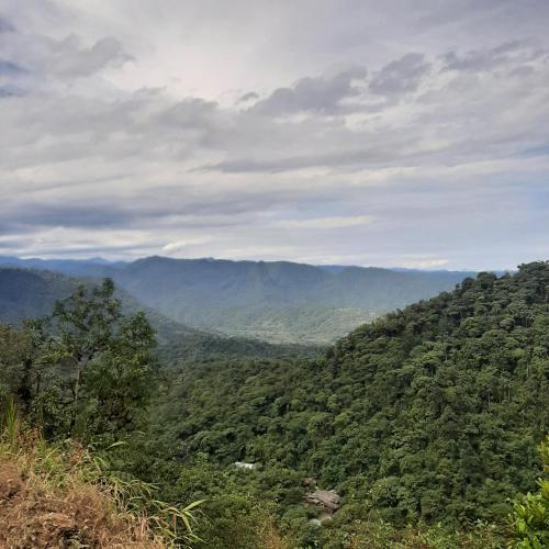 a view of a valley with mountains in the distance at Senz Chalet Riverside - Mindo in Mindo