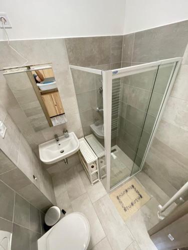ein Bad mit einer Dusche, einem WC und einem Waschbecken in der Unterkunft Albert Apartman Balatonberény in Balatonberény