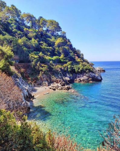 a beach with blue water and trees on a hill at Great and light private room in the heart of Nice in Nice