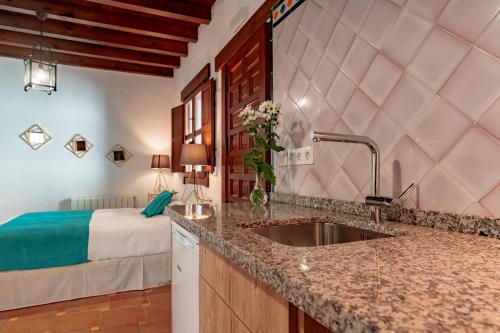 uma cozinha com um lavatório e uma cama num quarto em SUITES CASA DE LAS COLUMNAS em Granada