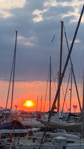 a group of boats parked in a marina at sunset at Great and light private room in the heart of Nice in Nice