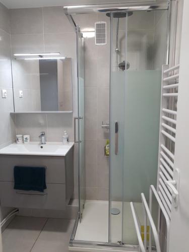 een badkamer met een douche en een wastafel bij 2/3 Pièces - Balcon Vue Mer - Parking in Trouville-sur-Mer