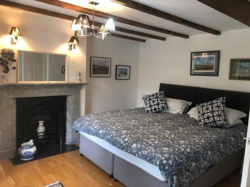 a bedroom with a bed and a fireplace at Weardale Cottage in Saint Johns Chapel