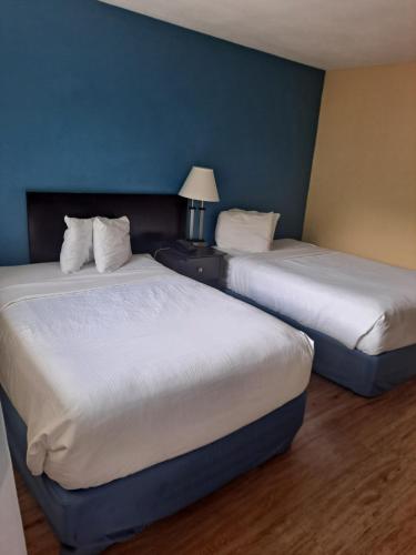 two beds in a hotel room with blue walls at University Inn in Gainesville