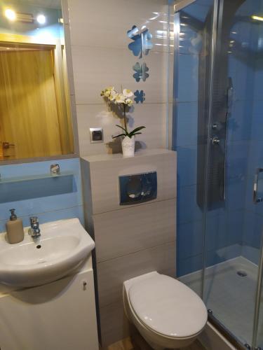 a bathroom with a toilet and a sink and a shower at Klinkierowa Komnata in Gniezno