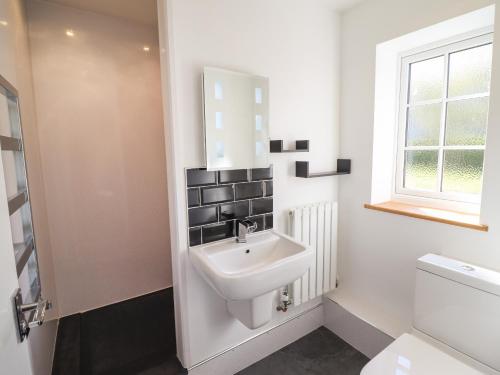 a bathroom with a sink and a toilet and a window at Tan Y Capel in Llanbrynmair