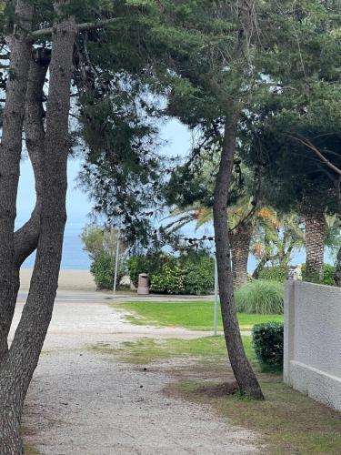 Grand F3 vue mer centre plage proche commerces