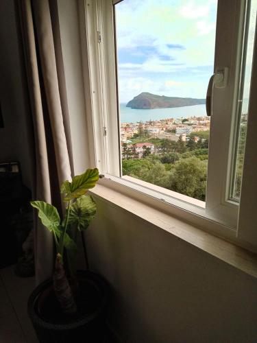 a window with a plant in a vase next to it at Thea Apartment in Agia Marina Nea Kydonias