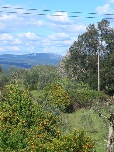 a view of a field with trees and a hill at Regina in Peso