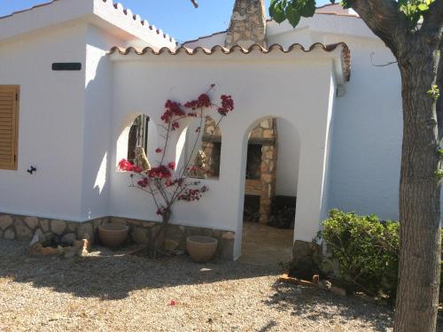 a white house with a tree in front of it at Chalet con piscina in L'Ampolla