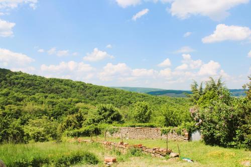 a stone wall in a field with mountains in the background at LE CLOS DES PIERRES ROUGES in Burgy