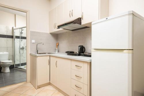 Kuchyň nebo kuchyňský kout v ubytování Koukos Loft Apartments