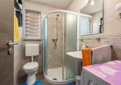 een badkamer met een douche, een toilet en een wastafel bij Rovinj Mir in Matohanci