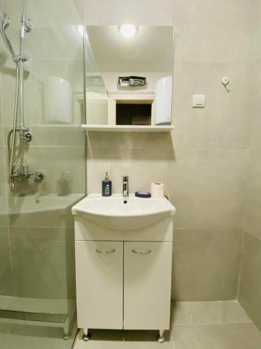 a white bathroom with a sink and a shower at Apartment DORA in Cetinje