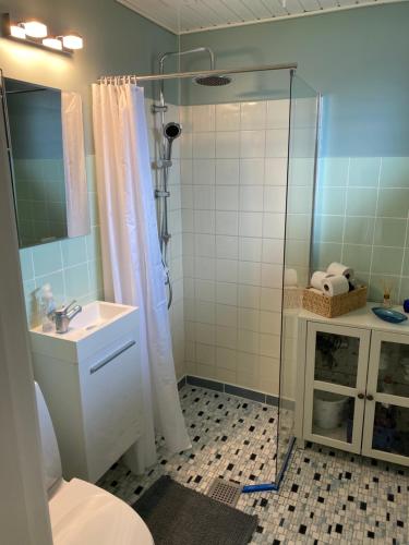 een badkamer met een douche, een toilet en een wastafel bij AgerBro in Broager