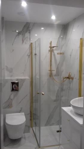 ein Badezimmer mit Dusche, Toilette und Waschbecken in der Unterkunft Agroturystyka u Basi in Wola Kalinowska