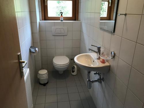 a small bathroom with a toilet and a sink at Ferienwohnung Morgentau am Rande der Wildnis in Sibratsgfäll