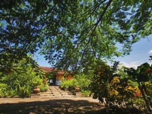 a house with a staircase leading to a garden at Unique 5 Architectural Homes, Pool & Wi-Fi in Lagunillas