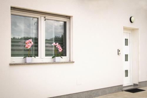 Φωτογραφία από το άλμπουμ του Apartment Jurić στην Πούλα