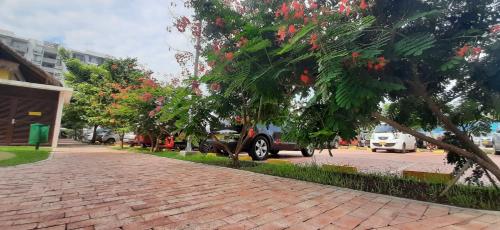 a brick road with trees and a car parked on a street at Peñazul La Aldea Condominio en Ricaurte Campestre - Apartamento con vista a piscinas in Ricaurte