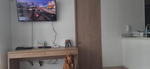 a dog sitting under a table with a tv on a wall at Peñazul La Aldea Condominio en Ricaurte Campestre - Apartamento con vista a piscinas in Ricaurte
