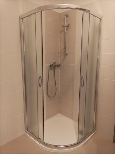 a shower with a glass door in a bathroom at Rodinné vinařství Guldanovi in Diváky