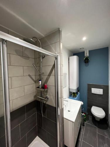 une salle de bain avec une douche, des toilettes et un lavabo dans l'établissement Charmant T1 Bis proche Gare et Centre Ville, à Lourdes