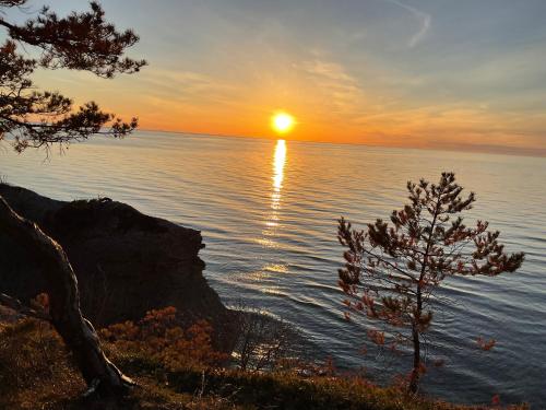 a sunset over the water with a tree in the foreground at Högklint by the Sea Apartment in Visby