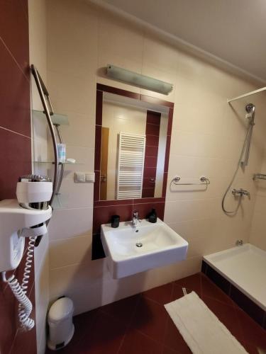 bagno con lavandino, servizi igienici e specchio di House Tina a Grabovac