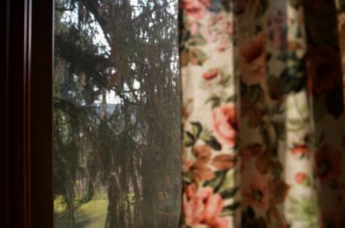 a window with a curtain with flowers on it at B&B FETONTE in Crespino