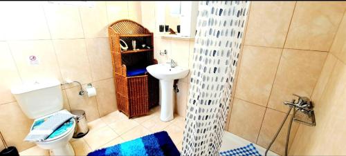 エラフォニシにあるKedrodasos Houseの洗面台とトイレ付きの小さなバスルーム