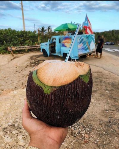 a hand holding a coconut with a stick in it at Jobos Beach Apartment A-3 in Isabela