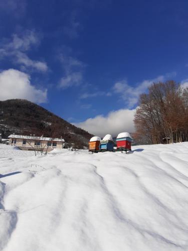 a snow covered field with a train on it at La casa di Maia - Alloggio Agrituristico in Pedavena