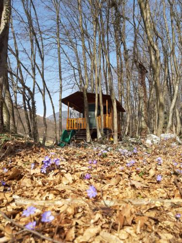 a small tree house in the woods with purple flowers at La casa di Maia - Alloggio Agrituristico in Pedavena