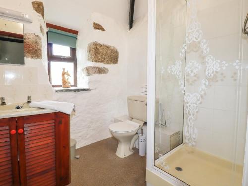 ein Bad mit einem WC, einem Waschbecken und einer Dusche in der Unterkunft Foxes in Lanivet