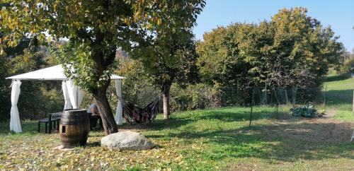 una mesa de picnic bajo un árbol en un campo en C'era una volta, en Castelnuovo Don Bosco