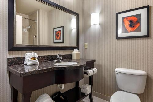 a bathroom with a sink and a toilet and a mirror at Best Western Plus DFW Airport West Euless in Euless