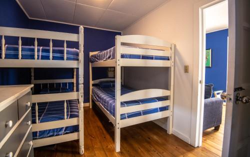 two bunk beds in a room with blue walls at Moon Apartments in Utila