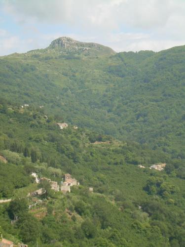 a view of a mountain with trees and houses at Agriturismo Fontanapietra in Tortorici