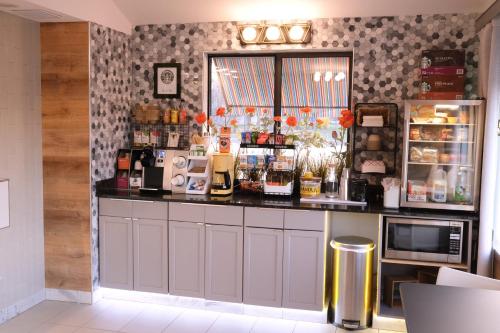 een keuken met een aanrecht met een aanrecht bij Regency Inn of Eddyville Kuttawa in Eddyville