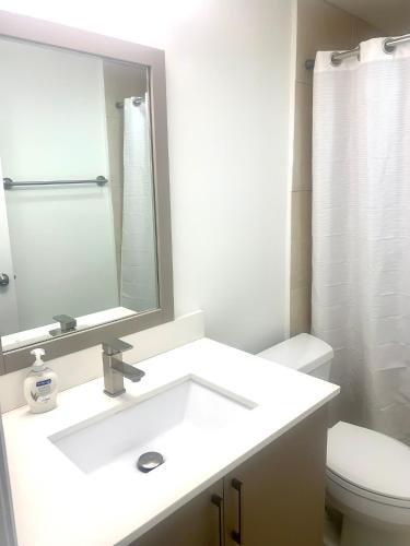 マイアミビーチにあるGreat private roomのバスルーム(洗面台、鏡、トイレ付)