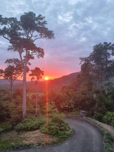 un camino sinuoso con una puesta de sol en el fondo en Daintree Holiday Homes - Yurara, en Cow Bay